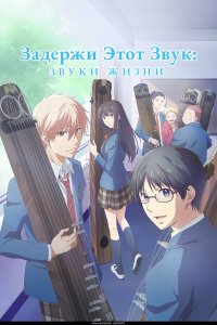 Задержи этот звук: Звуки жизни 2 сезон