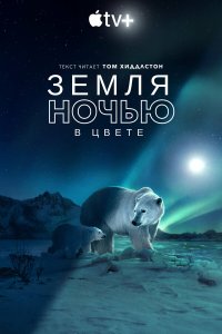 Земля ночью в цвете 2 сезон