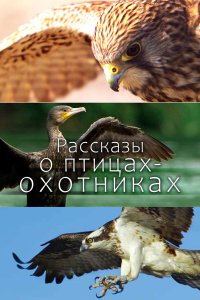Рассказы о птицах-охотниках 1 сезон