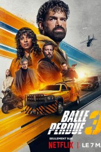 Шальная пуля 3 