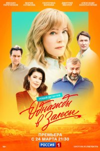 Однажды в Залесье 1 сезон