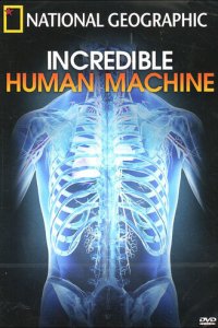 Невероятное тело человека 