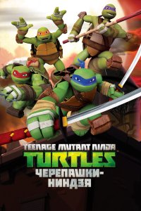 Черепашки ниндзя 5 сезон