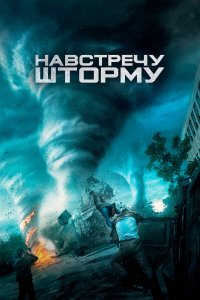 Навстречу шторму 