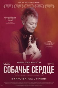 Собачье сердце 